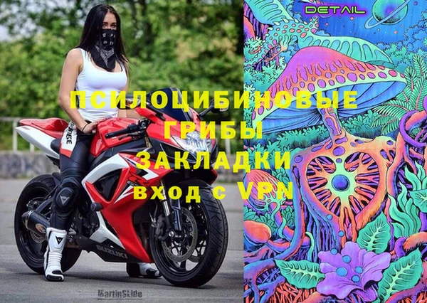 ГАЛЛЮЦИНОГЕННЫЕ ГРИБЫ Покачи