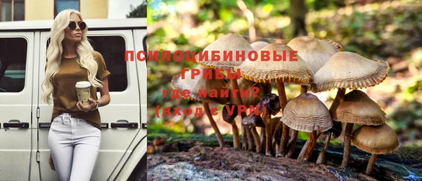 ГАЛЛЮЦИНОГЕННЫЕ ГРИБЫ Покачи