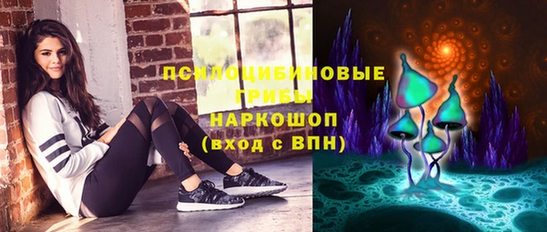 ГАЛЛЮЦИНОГЕННЫЕ ГРИБЫ Покачи