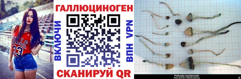Псилоцибиновые грибы мицелий shop какой сайт ОМГ ОМГ ссылки Покров купить сайты