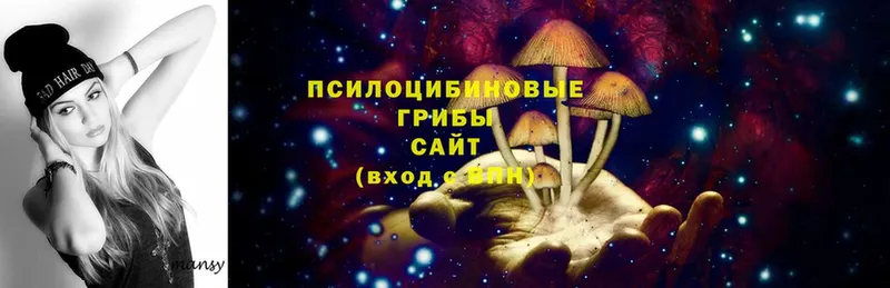 Псилоцибиновые грибы Magic Shrooms  Покров 